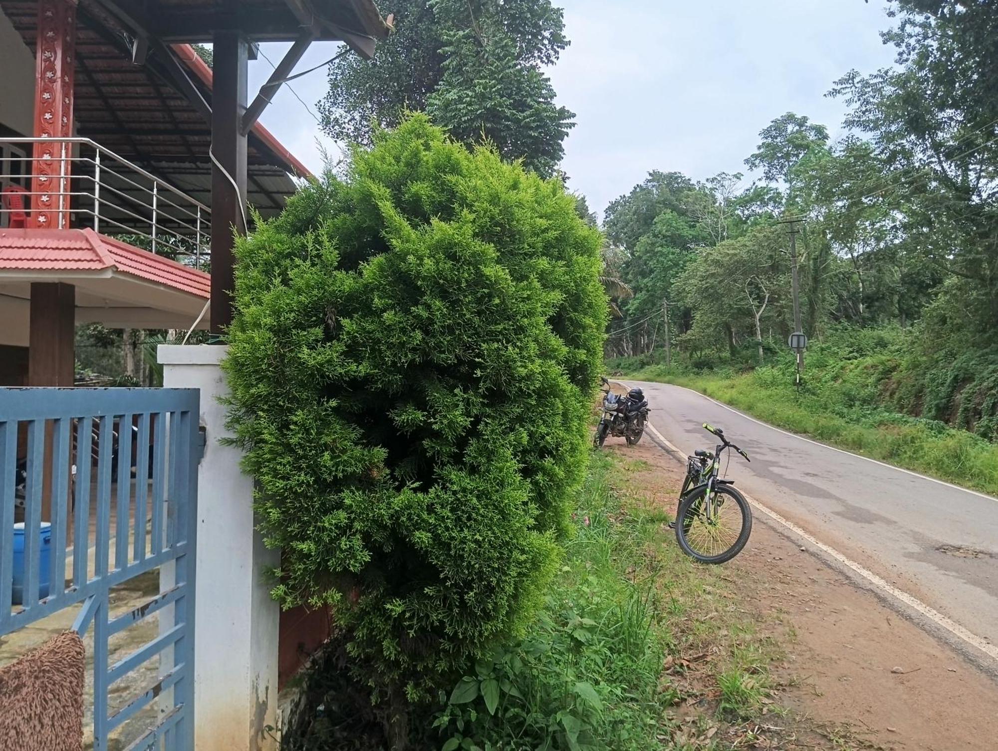 Elephant Path Coorg 3Bhk Suntikoppa Exterior foto
